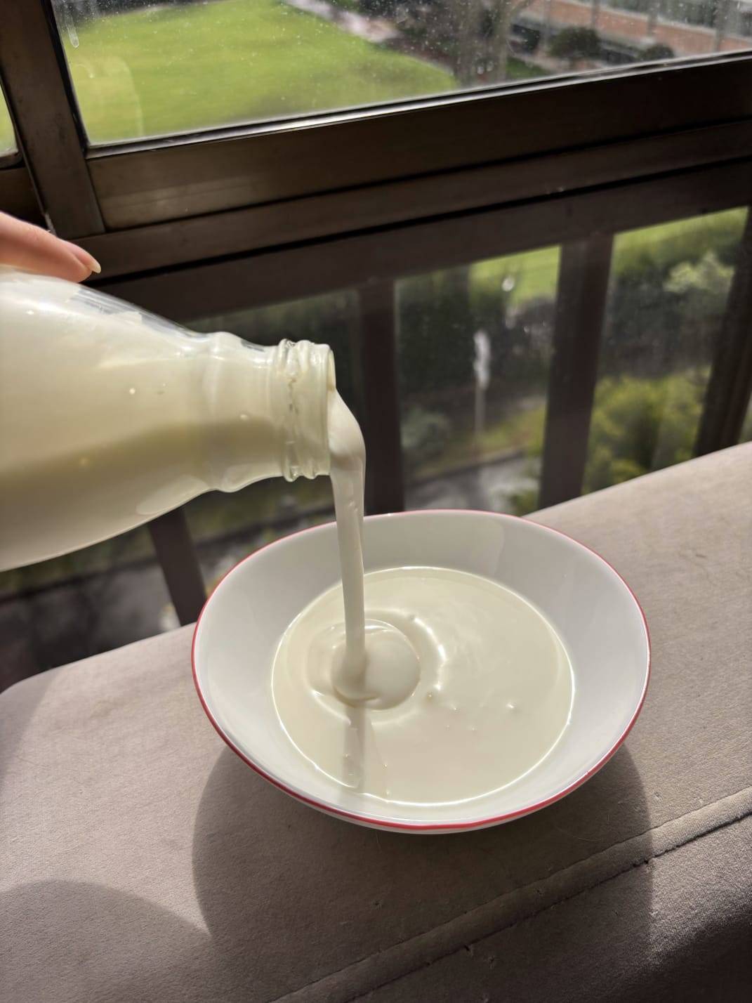 Viili Long: el yogur infinito nórdico lleno de vida