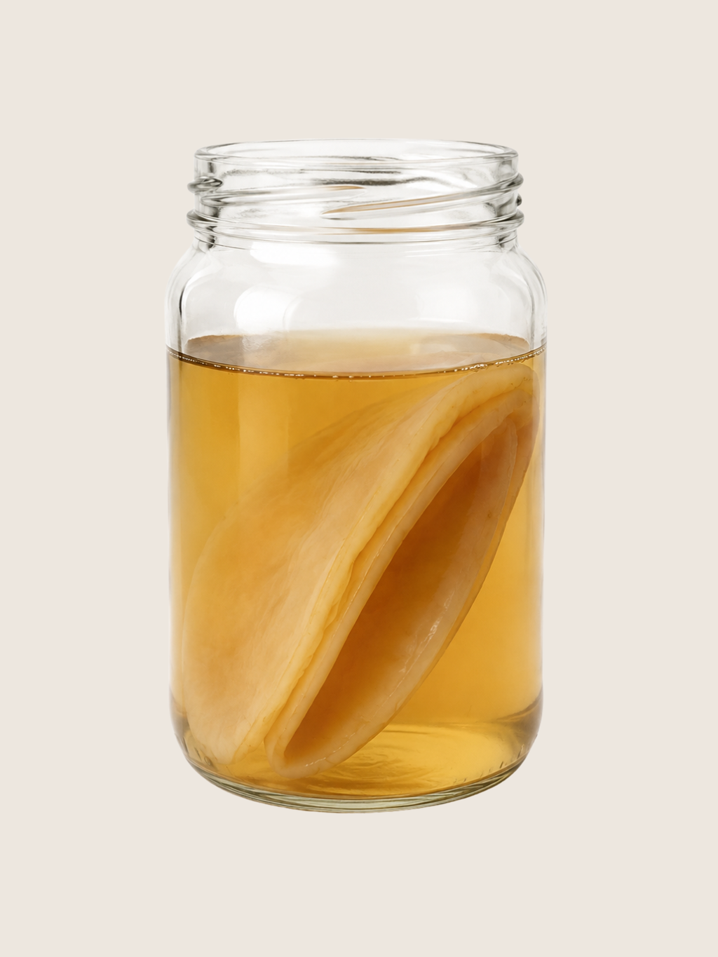 Cultivo Madre de Kombucha