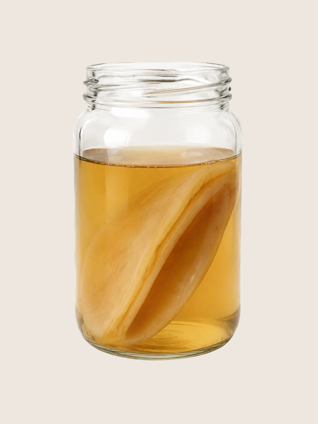 Cultivo Madre de Kombucha