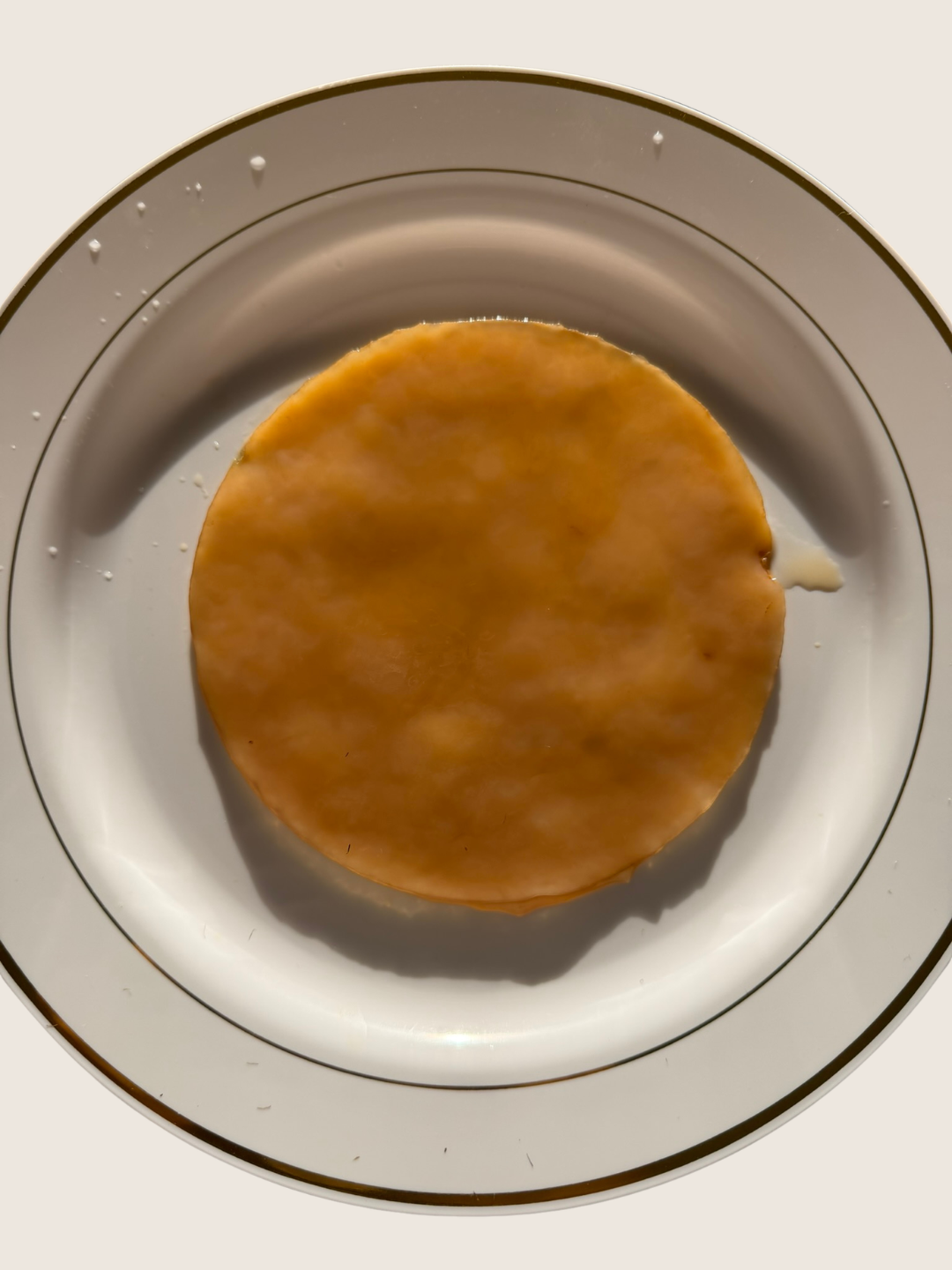 Cultivo Madre de Kombucha