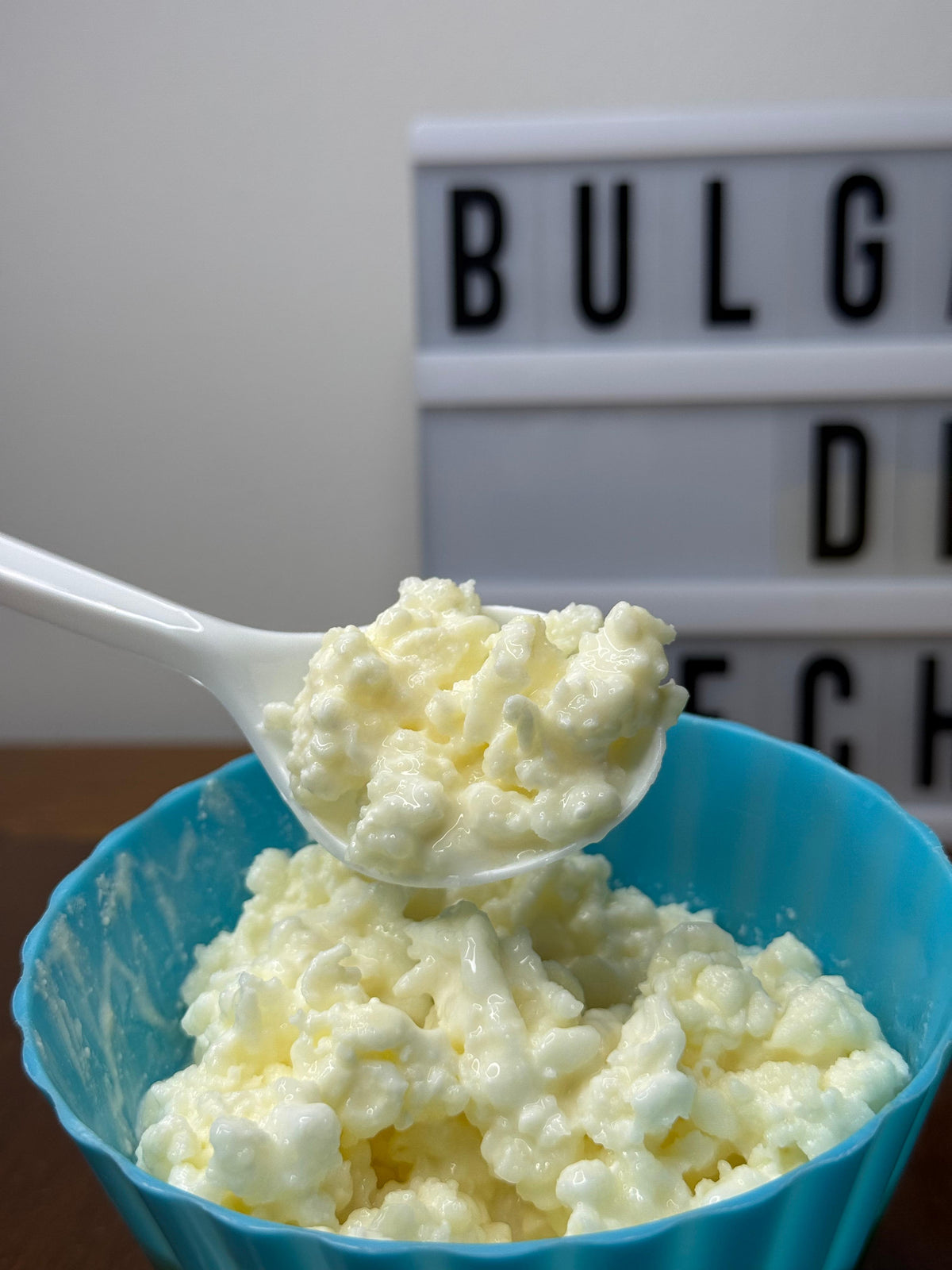 Búlgaros de Leche | Cultivo Vivo 50 gr