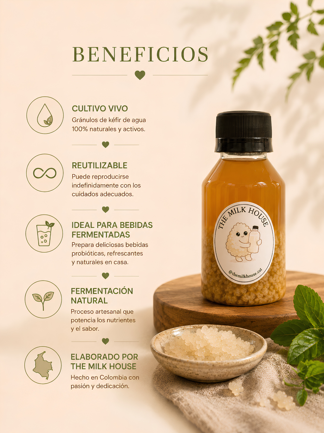 Nódulos de Kéfir de Agua