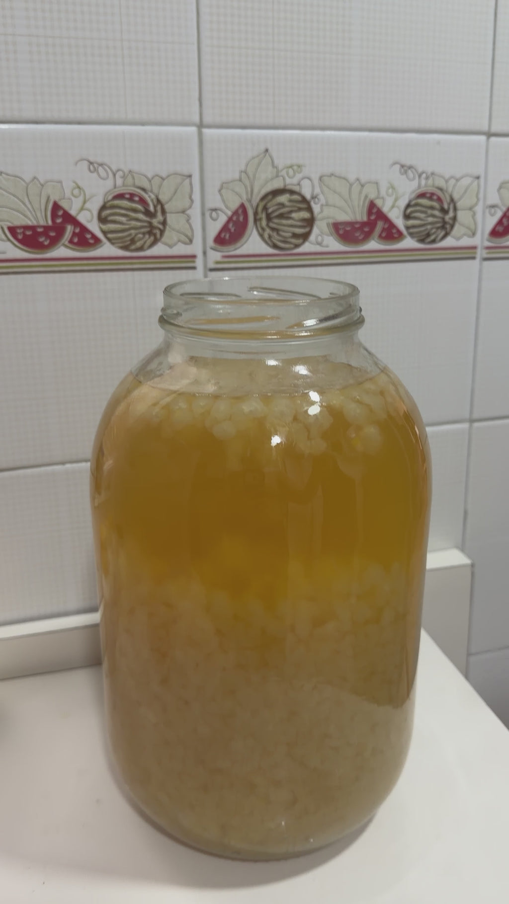 Nódulos de Kéfir de Agua